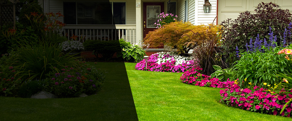 Mansfield Center Landscapers