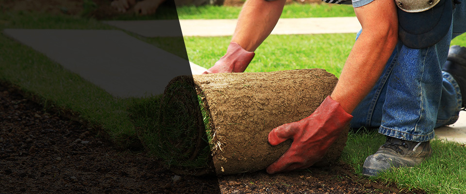 Mansfield Center Landscapers